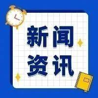 关于瑞士的假新闻的为何牵扯到国家安全问题?