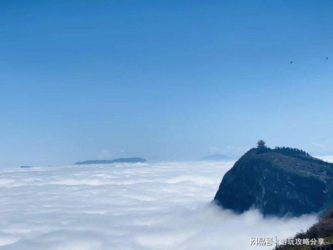 2个人成都旅游6天的花费 旅游 